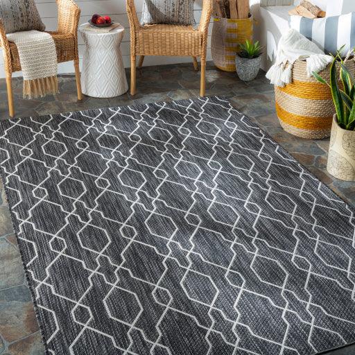 Surya Eagean EAG-2384 2'7" x 12' Rug