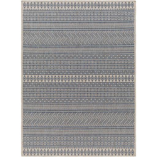 Surya Eagean EAG-2428 2'7" x 10' Rug