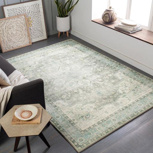 Surya Erin ERN-2309 2'7" x 4' Rug