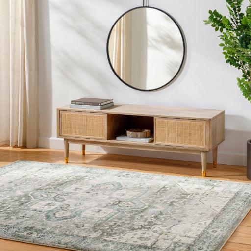 Surya Erin ERN-2319 2'7" x 4' Rug