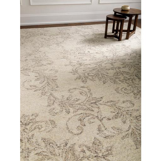 Surya Evolution EVL-2301 2' x 3' Rug