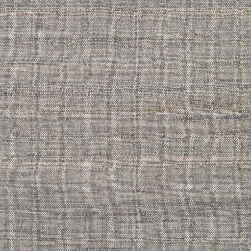 Surya Evora EVO-2304 2' x 3' Rug