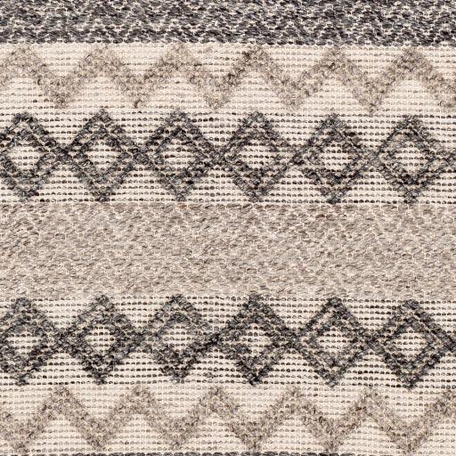 Surya Farmhouse Neutrals FLS-2302 2' x 3' Rug