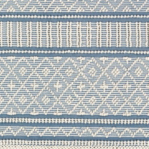 Surya Farmhouse Tassels FTS-2301 2' x 3' Rug