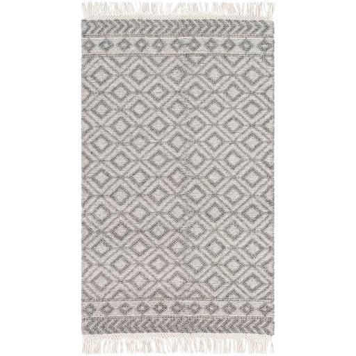 Surya Farmhouse Tassels FTS-2302 2' x 3' Rug