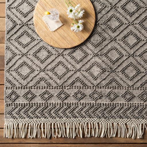 Surya Farmhouse Tassels FTS-2302 2' x 3' Rug