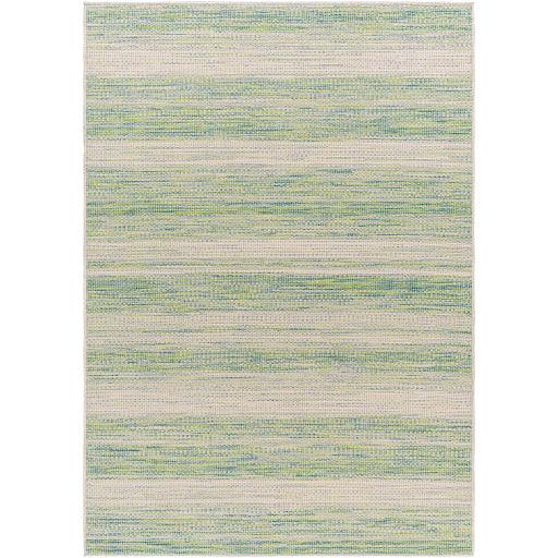 Surya Hampton HPT-2304 3'11" x 5'7" Rug