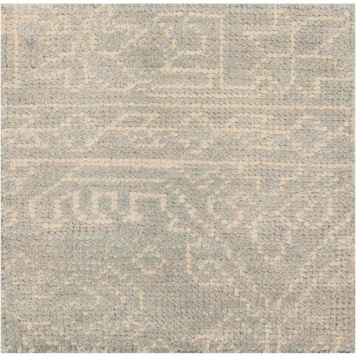 Surya Haven HVN-1215 2' x 3' Rug