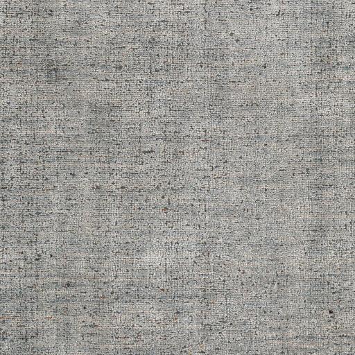 Surya Helen HLE-2305 2' x 3' Rug