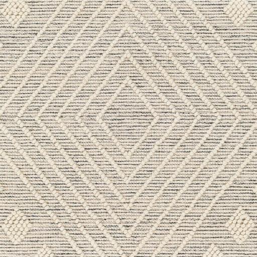 Surya Hemingway HMG-2306 2' x 5' Rug