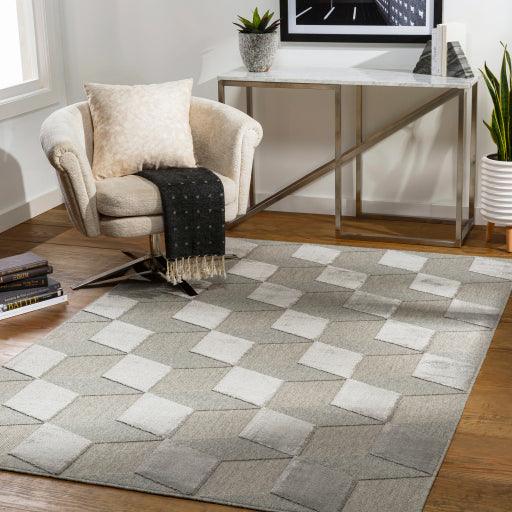 Surya Kingston KGS-2302 2' x 3' Rug