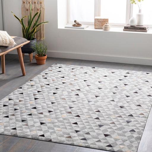 Surya Medora MOD-1025 2' x 3' Rug