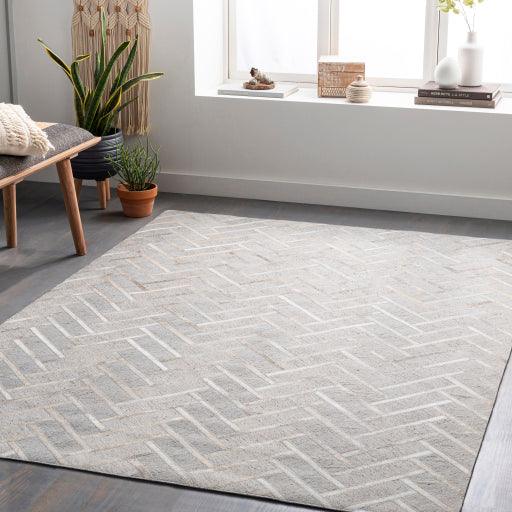 Surya Medora MOD-1026 2' x 3' Rug