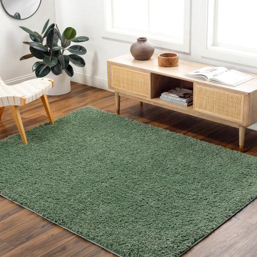 Surya Moda shag MOG-2306 5'3" x 7' Rug