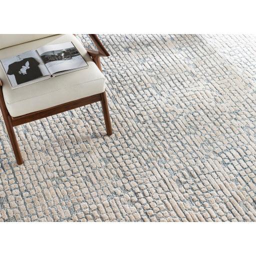 Surya Montclair MTC-2309 2' x 3' Rug