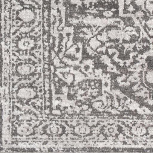 Surya Monte Carlo MNC-2300 5'3" Square Rug