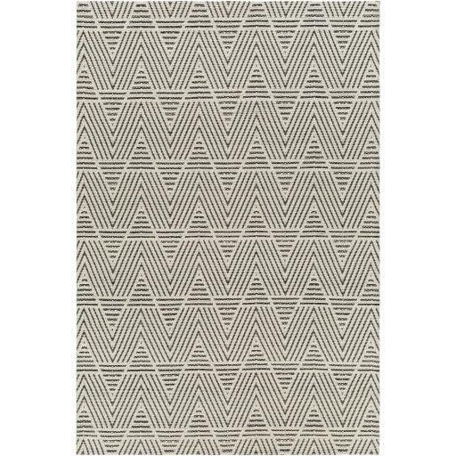 Surya Nevada NVD-2302 6' x 9' Rug