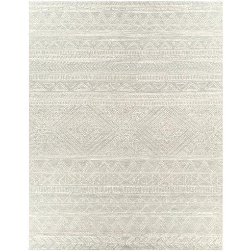 Surya Newcastle NCS-2312 2' x 3' Rug