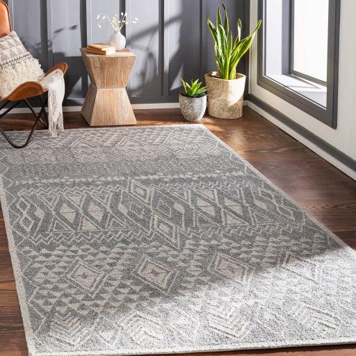 Surya Newcastle NCS-2316 2' x 3' Rug