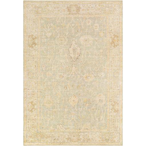 Surya Normandy NOY-8009 2' x 3' Rug