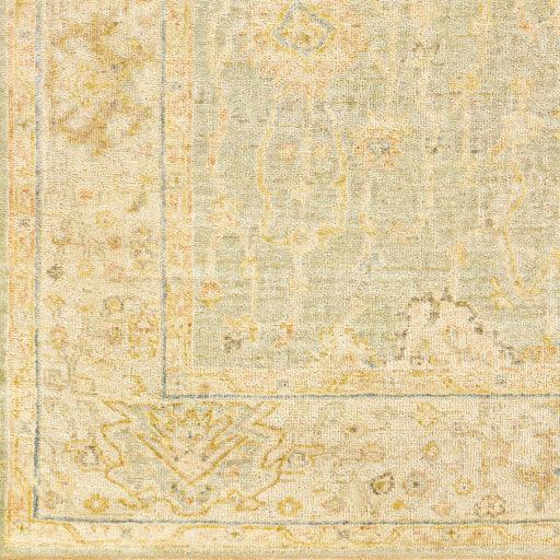 Surya Normandy NOY-8009 2' x 3' Rug