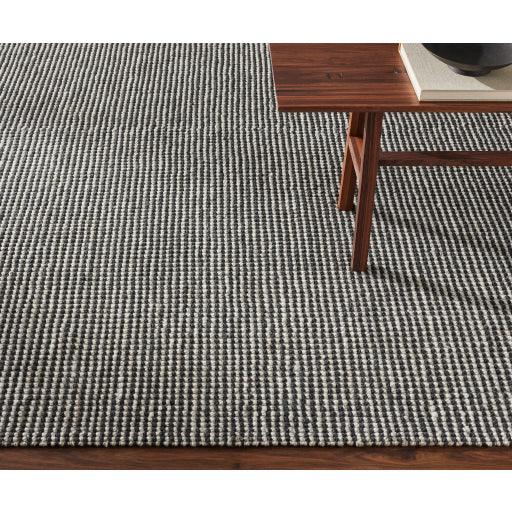 Surya Rebecca RBC-2301 2' x 3' Rug