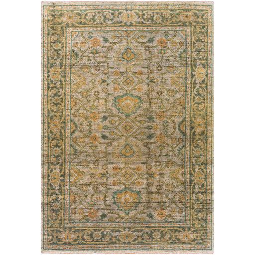 Surya Reign REG-2305 2' x 3' Rug