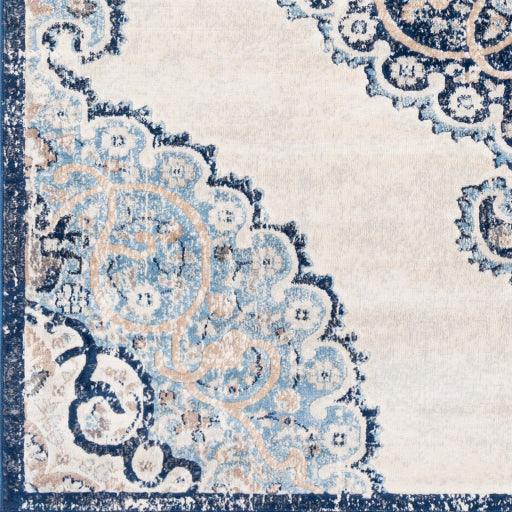 Surya Remy RMY-2318 7'10" x 10' Rug