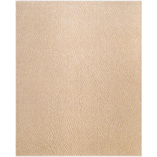 Surya Reyyan RHE-2300 2' x 3' Rug