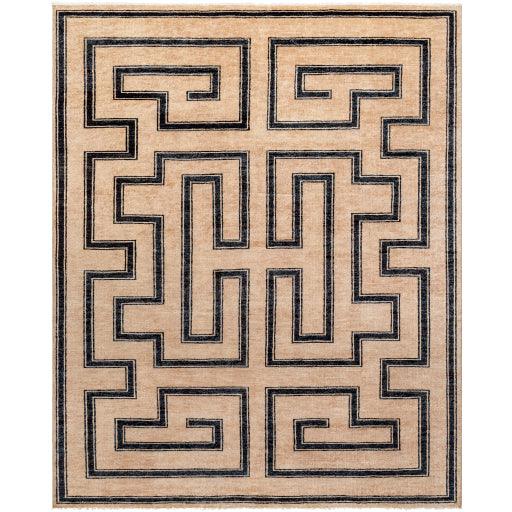 Surya Riviera RIV-2303 10' x 14' Rug