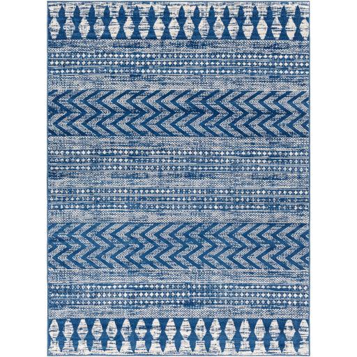 Surya Roma ROM-2398 7'10" x 10' Rug