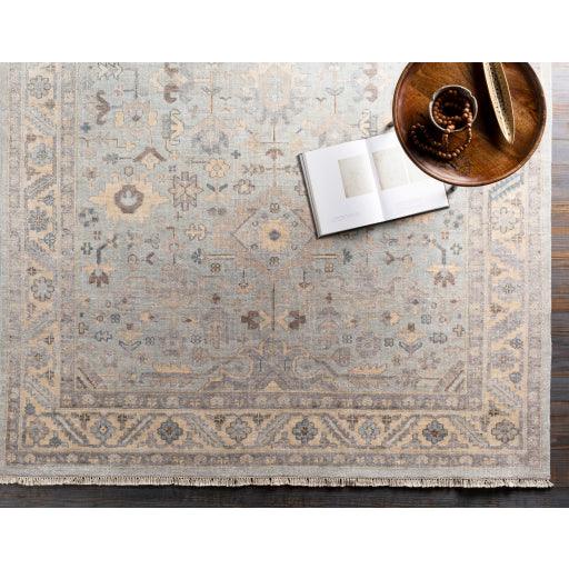 Surya Sabine SBN-1002 2' x 3' Rug