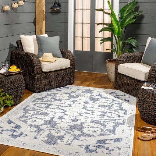 Surya San Diego SFG-2338 7'10" x 10' Rug