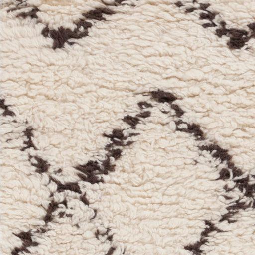 Surya Sherpa SHP-8001 2' x 3' Rug