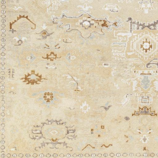 Surya Shiraz SHZ-2300 10' x 14' Rug