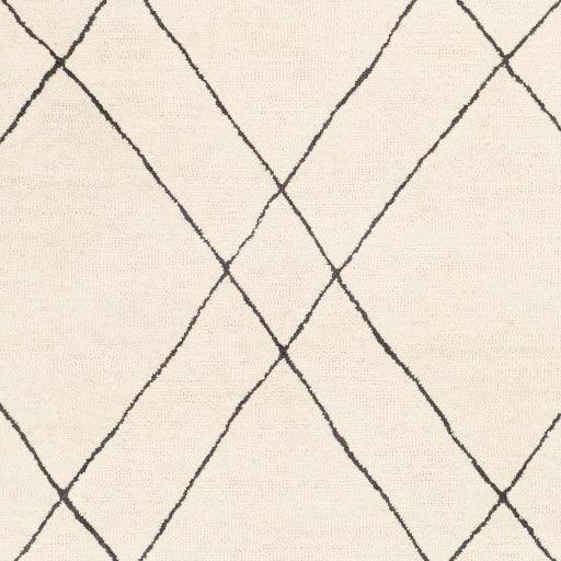 Surya Sinop SNP-2304 4' x 6' Rug