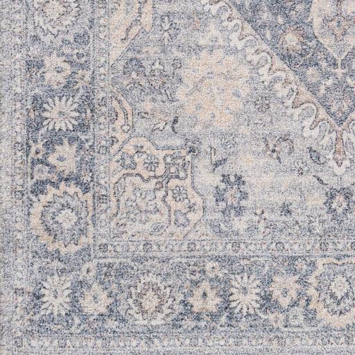 Surya Sivas SVS-2302 2' x 3' Rug