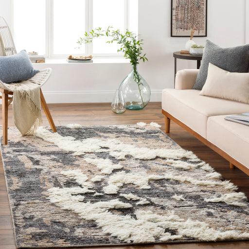 Surya Socrates SOC-2300 2' x 3' Rug