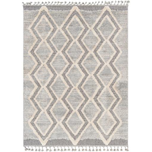 Surya Sousse SUS-2301 2'10" x 10' Rug