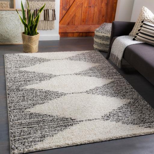 Surya Taza Shag TZS-2311 5'2" x 7' Rug