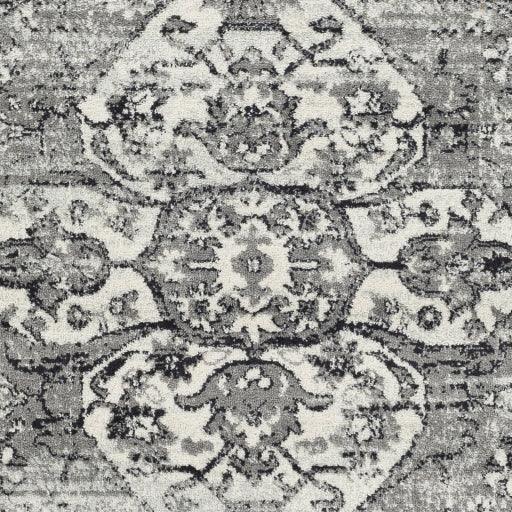 Surya Tevazu TVZ-2378 7'10" x 10' Rug