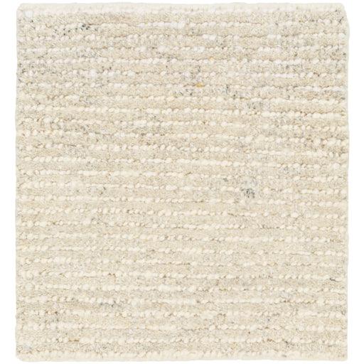 Surya Totenham TTH-2302 10' x 14' Rug