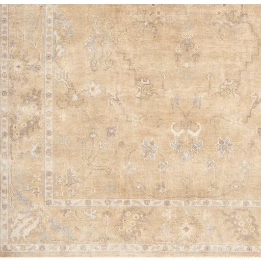 Surya Transcendent TNS-9002 2' x 3' Rug