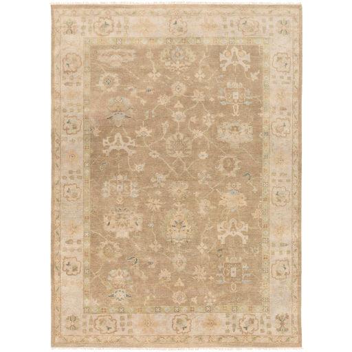 Surya Transcendent TNS-9004 2' x 3' Rug