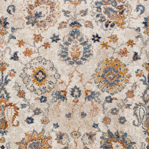 Surya Tuscany TUS-2332 12' x 15' Rug