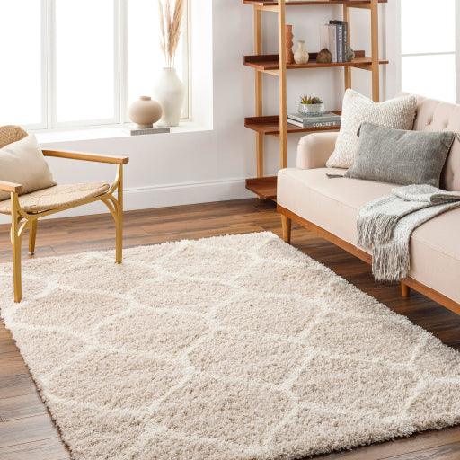 Surya Urban Shag USG-2320 5'3" x 7'3" Rug