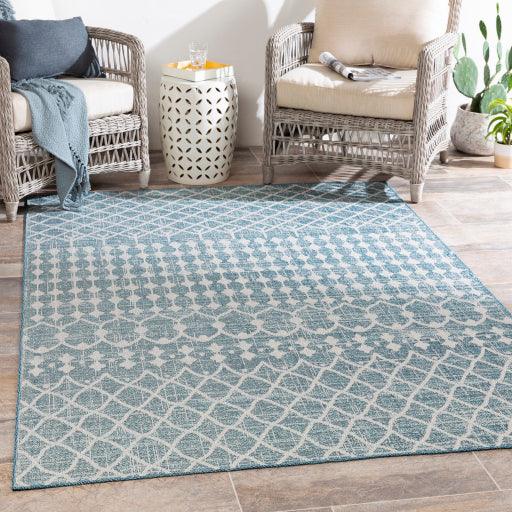 Surya Veranda VRD-2307 7'10" x 10'2" Rug