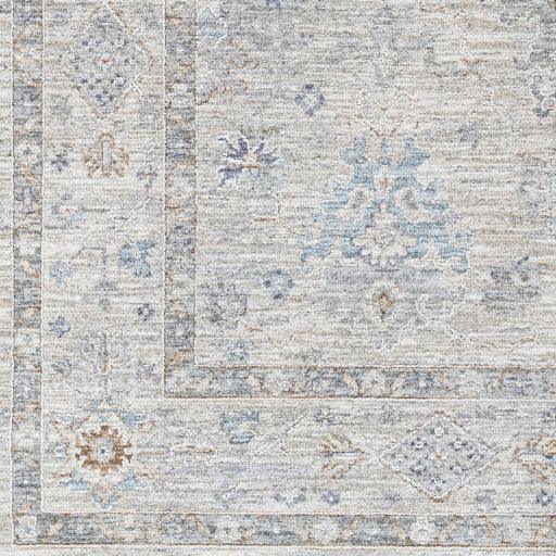 Surya Virginia VGN-2300 2' x 3'11" Rug