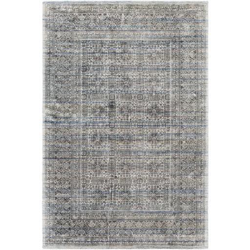 Surya Wembley WMY-2301 2' x 3' Rug