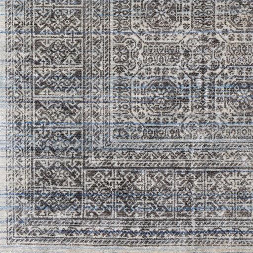 Surya Wembley WMY-2301 2' x 3' Rug